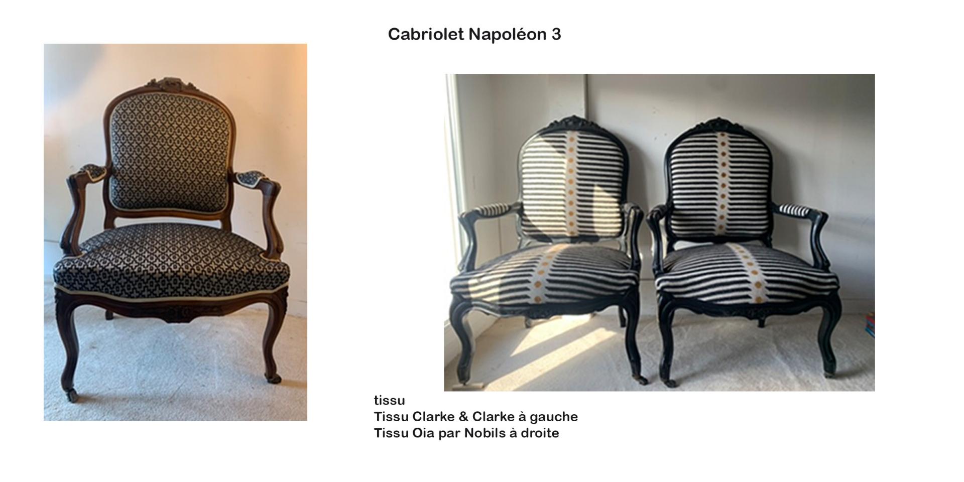 Fauteuil napoleon 3